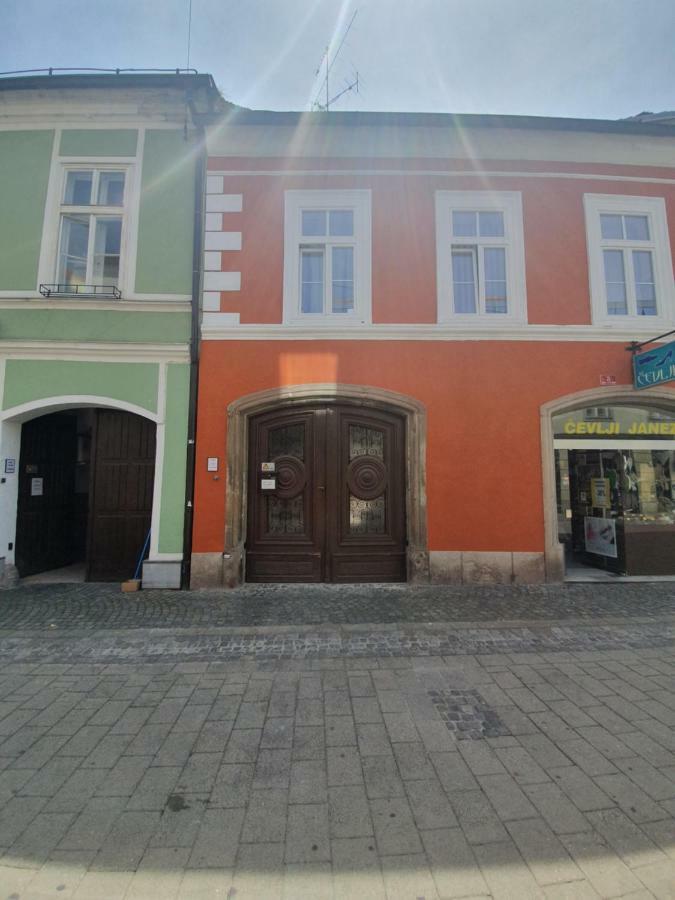 Luxory Apartment The Soul Of City Maribor Dış mekan fotoğraf